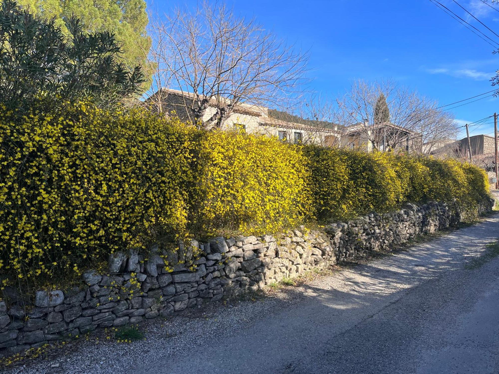 L'Ostal Du Pic Saint Loup Aux Embruscalles Claret Exterior foto